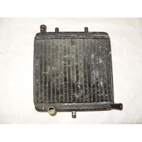 [PRODUIT D'OCCASION] Radiateur de refroidissement origine pour moto Occasion