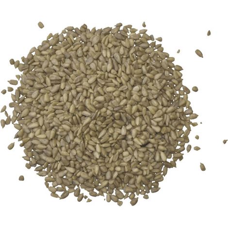 Agrarshop Sonnenblumenkerne geschält 20 kg Vogelfutter Ganzjahresfutter