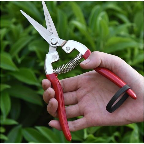Sécateur de précision, lame en acier inoxydable, ciseaux de jardin, ciseaux de récolte pour fruits, fleurs coupées, herbes aromatiques, légumes hydroponiques et raisins. (1/5)