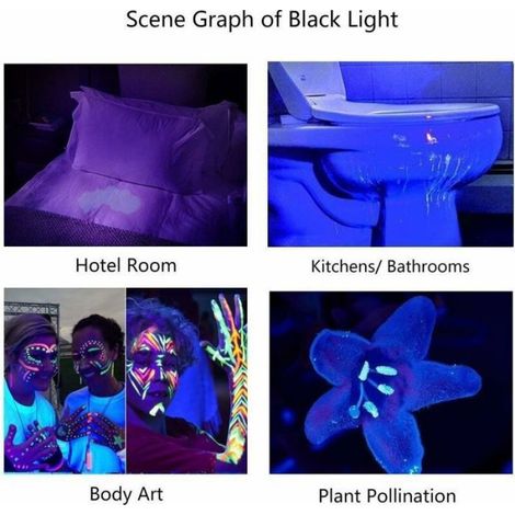 Lampe Torche UV - 395 nm - 300 lm - Zoomable - Détection Taches Animales - Vérification Documents et Cosmétiques - 1 Pièce (1/5)