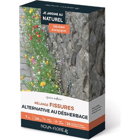 Mélange fissures : alternative au désherbage 7 m2