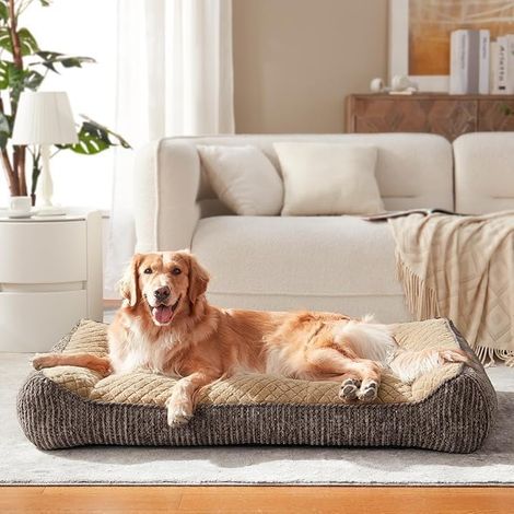 Panier Chien Grande Taille XXL Orthopédique, Coussin Chien Dehoussable Lavable, Canapé pour Chiens Antidérapant Velours Floconné Doux, Lit Chiens Soutien Extra Épais (1/5)