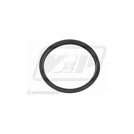 Junta del termostato VAPORMATIC VPE4393