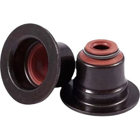 Passend für BMW F20 F30 R56 R60 Ventilschaftdichtungen 11340033950 Autoteile
