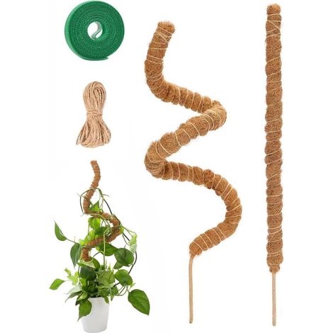 Tuteur Monstera pour Plantes, Tuteur Plante Grimpante 2 Pièces Bâton de Coco de 30cm, Poteau Totémique pour Plantes de Jardin et Pots (1/5)