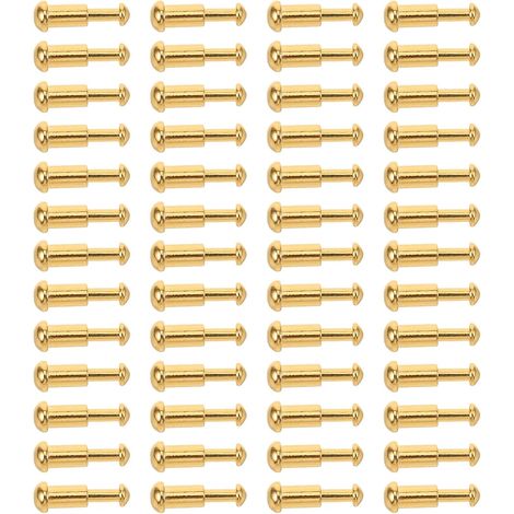Rivets à Chicago 50 Jeux en Acier Inoxydable Doré pour Ceintures et Colliers de Chien, Support Stable, Assemblage Simplifié, Loisirs Créatifs et Fabrication de Maroquinerie (1/5)