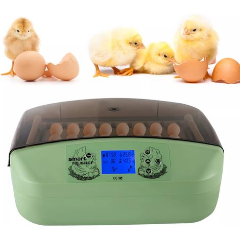 32 Digital Egg Incubator Temperature Control Hatcher Automatic Turning Chicken