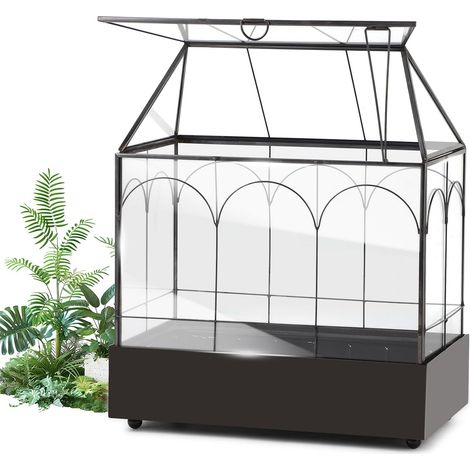Mini-Pflanzenterrarium 24,2 x 14,7 x 29 cm mit abnehmbarer Schale, Miniatur-Gewächshausform für den Innenbereich, ideal für Sukkulenten, Kakteen und DIY-Projekte (Pflanzen nicht enthalten)