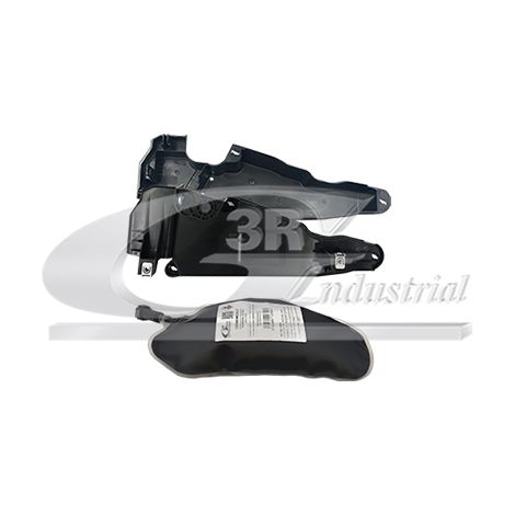 3RG 89217 CÃƒÆ’Ã‚ÂRTER Y BOLSA DPF (1,10L)