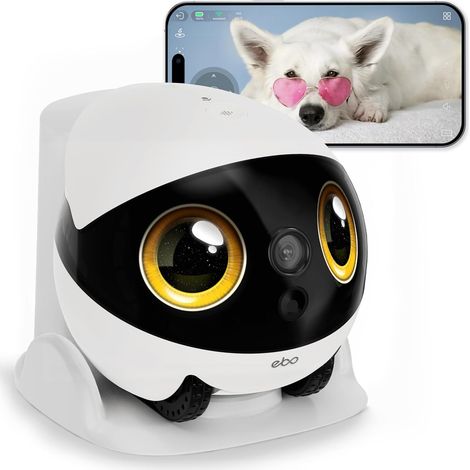 Robot Caméra Animaux 2,5K, Batterie 9–10H, Suivi IA, Patrouille, Vidéo Bidirectionnelle, Recharge Auto, Stockage Local – Chats, Chiens et Famille (1/5)