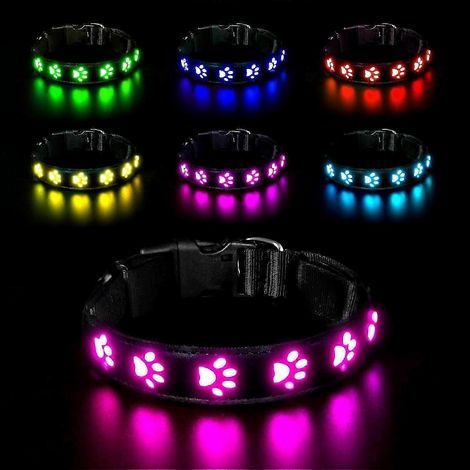 Collier lumineux LED pour chiens, rechargeable et étanche, collier ajustable avec 7 modes d'éclairage (Colorful-S) (1/3)