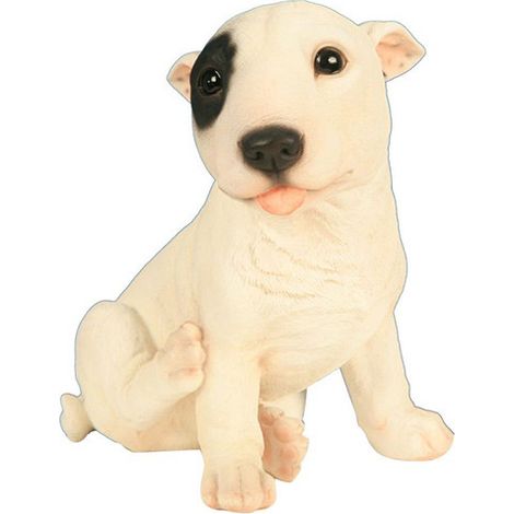 Bébé bull terrier