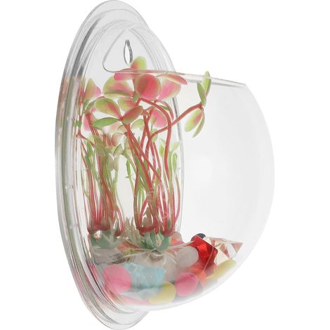 Vase mural décoratif, pot de fleurs suspendu hydroponique en acrylique transparent (1/5)