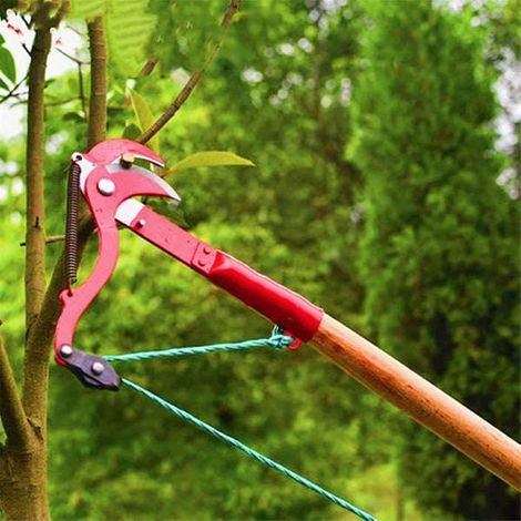 Outils de taille pour haies, arbustes et arbres - Coffret d'outils avec accessoires, sécateur à main, cisaille à élaguer (1/5)