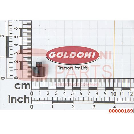 ROHRANSCHLAGFASS ORIGINAL GOLDONI 00000189