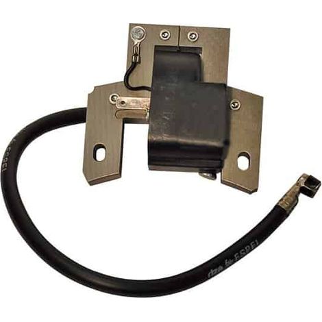 Bobine d'allumage BRIGGS ET STRATTON 591420 (1/3)