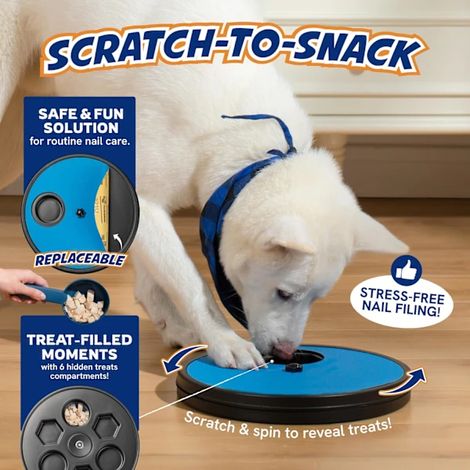 Lime à ongles bleue pour l'entretien des griffes canines, pour l'entraînement à domicile et l'usure progressive des griffes.-AquaForge (1/4)