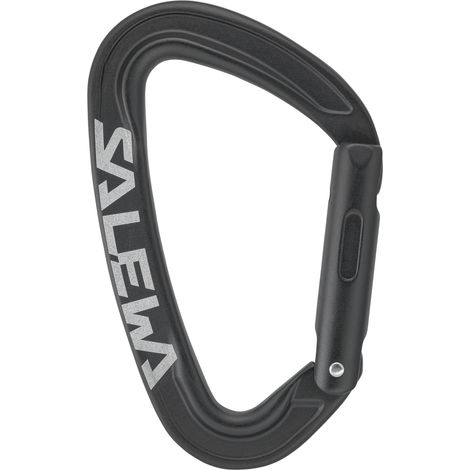Salewa Ortles gerader Unisex-Karabiner schwarz 00-00000720060900 (1/4)