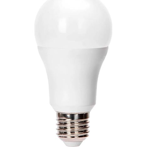 Ampoule aigostar a60 24W 6500K