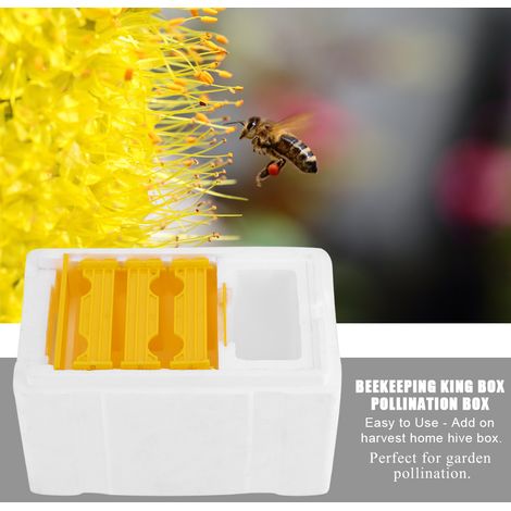 Ruche Apiculture Kit Pollinisation, Boîte à Reine pour Élevage d'Abeilles, Outil d'Apiculteur, Ruchette en Bois, Favorise la Pollinisation (1/5)