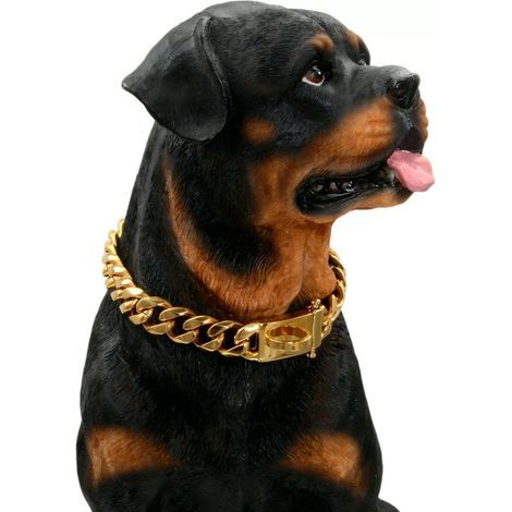 Collier Chien - Acier Inoxydable 316 Plaqué Or 18 Carats - Boucle Sécurisée À Double Bouton - Résistant À La Mastication - Longueur Réglable 16-20 Pouces - 1 Pièce (1/5)