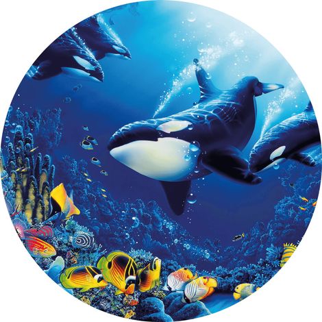 Papier peint panoramique enfant aspect chambre garçon | Tapisserie panoramique bleu animaux orques | Papier peint panoramique colorés océan poissons - 140 x 140 cm (3 pièces) (1/2)
