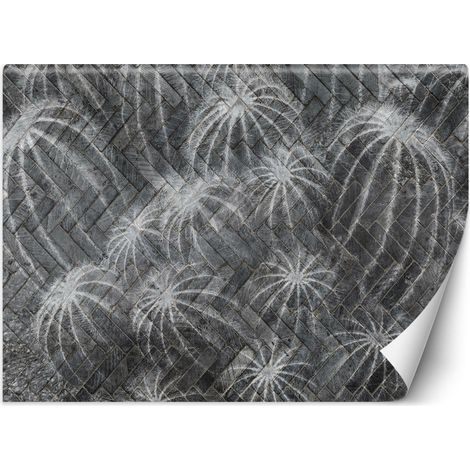Carta Da Parati, Fiori di cactus grigio - 200x140 (1/5)