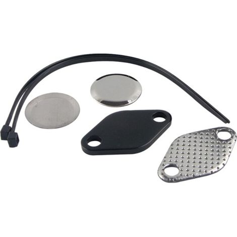 EGR-Entfernungssatz mit Stopfen und Kühlerfeder für BMW M47N2, M57N2, E60 und E61. (1/4)