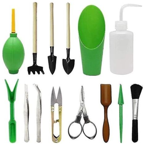 Ensemble de 14 outils de jardinage, vaporisateur, élévateur de pépinière, bouteille d'eau, prunes en pot. (1/5)