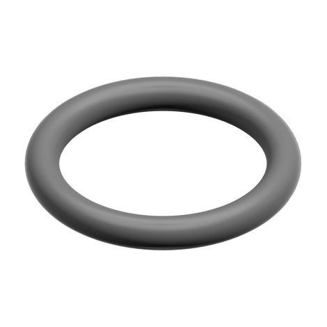 BOSCH Ersatzteil TTNR: 87002050870 O-Ring (10x) (1/2)