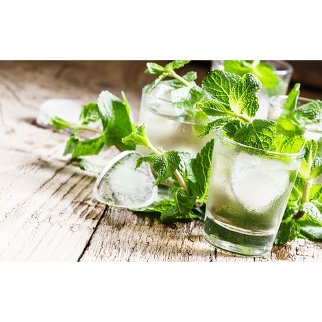 Affiche deco cocktail virgin mojito, 60x40cm - made in France (1/5)
