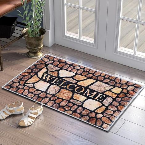 Paillasson d'intérieur doux lavable en machine - Antidérapant - Pour l'intérieur, porte d'entrée et arrière, animaux domestiques et chiens - 40 x 60 cm (1/5)