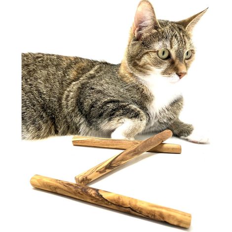 Lot de 3 os à mâcher en bois d'olivier naturel pour petit chien et chat Ø 1,5 x 15 cm - PANGIVO (1/5)