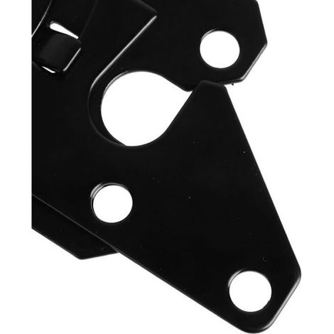 Loquet De Portail - Acier Inoxydable - Autobloquant À Levier - Pour Clôture Jardin Extérieur - 1 Pièce (1/5)