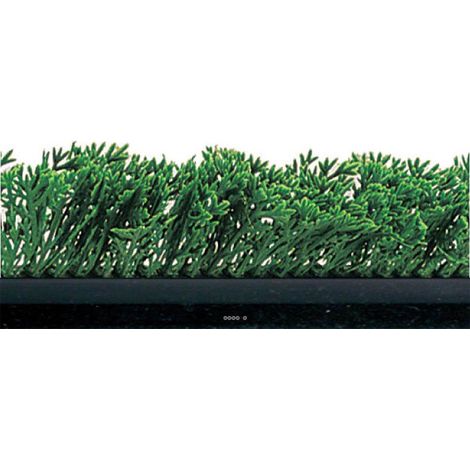 Séparateur barrette Feuille plastique Cypré vert H7cm L75cm socle Noir - dimhaut: H 7 cm - couleur: Vert