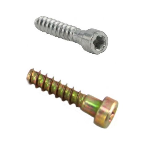 Tornillo Autoroscado compatible con P6X32,5  Ref 500452