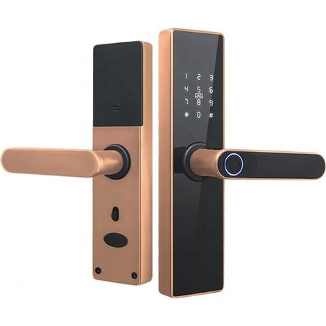 Serrure de porte intelligente Sécurité biométrique empreinte digitale poignée de porte intelligente Tuya Wifi électronique Intelligente carte clé serrure de porte en bois for la maison ( Color : 22-24 (1/5)