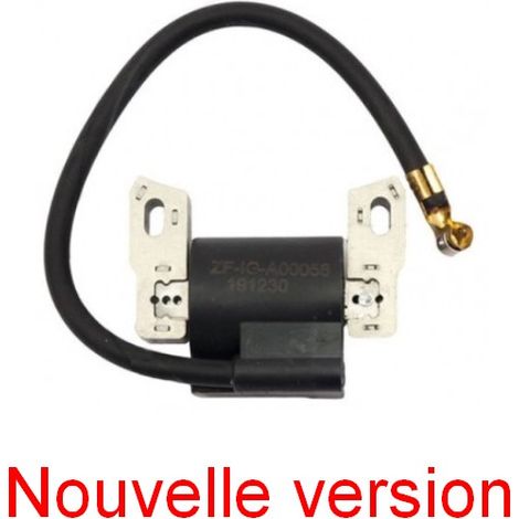 Bobine d'allumage électronique 4 temps – Compatible Briggs & Stratton Quantum et Europa – Allumage rapide et fiable – Durabilité accrue