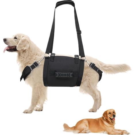 pour chiens de taille moyenne harnais pour chien de traction (1/5)