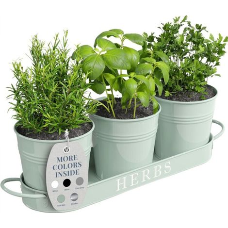 Set of 3 Indoor Planters with Tray, Metal Window Sill Flower Pots with Drainage for Indoor or Outdoor Plants (Sweet Mint) (1/5)