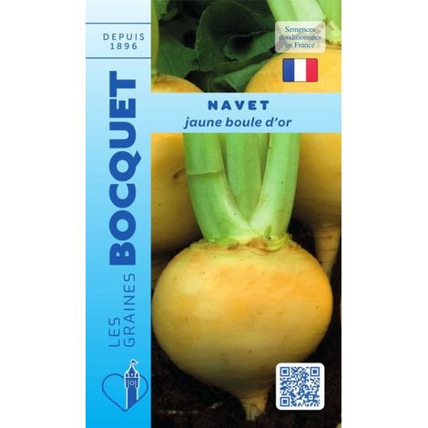 Navet jaune Boule d'or - 6g