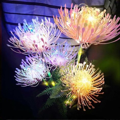 Lot de 2 lampes solaires de jardin LED colorées en forme de fleur avec capteur automatique, étanches IP65, pour la décoration de terrasse, allée et pelouse, pour balcon, extérieur (1/5)