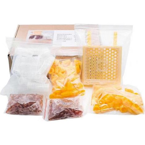 Bienenzellen aus Kunststoff, Becher, Notkit, Rollclip-Käfig, Imkereizubehör