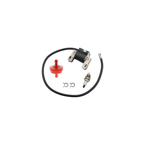 Bobina di accensione 398811 per motori Briggs & Stratton 395492 395326 398265 298968 293366 monocilindrici orizzontali e verticali da 7HP a 16HP. Bobina di accensione per JD PT15339 - Crezuo
