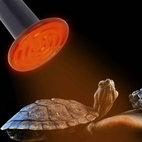 Lampe chauffante infrarouge en céramique pour reptiles, terrarium, aquarium, amphibiens, serpents, poules, oiseaux de compagnie (220-230 V, 200 W). Convient pour l'élevage. (1/4)