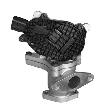 Vanne EGR d'échappement 1207100-ED01A 1207100ED01A pour V200 (1/5)