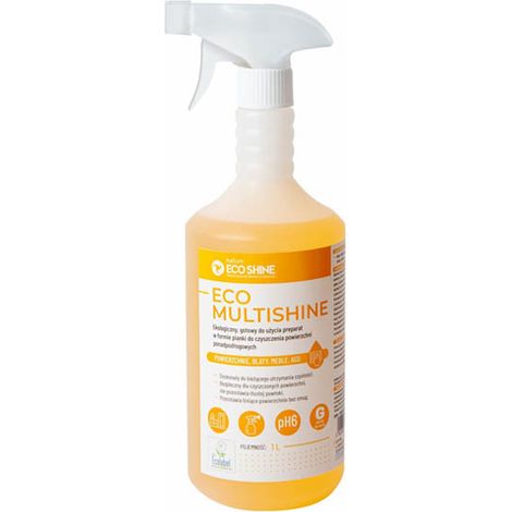 Mousse universelle pour le nettoyage de diverses surfaces Eco Shine 1L, 1 pièce.