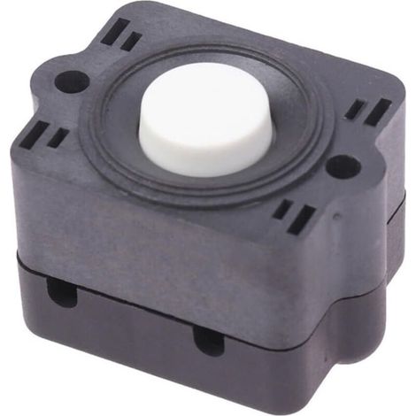 Interrupteur de contrôle de pression pour pompes à diaphragme série FL réglable 17 80 psi compatible avec FL30 FL31 FL32 FL34 FL35 FL40 FL43 (1/5)