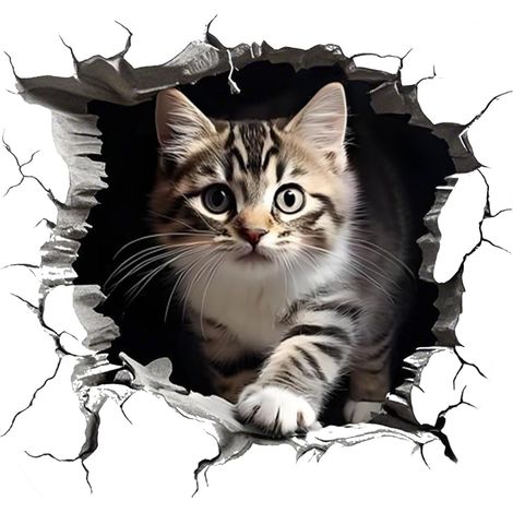 Autocollant 3D chat pour l'extérieur Mignon et amusant Décoration pour réfrigérateur, armoire, armoire de cuisine, boîte de voyage, ordinateur portable Gris 17 cm x 17 cm