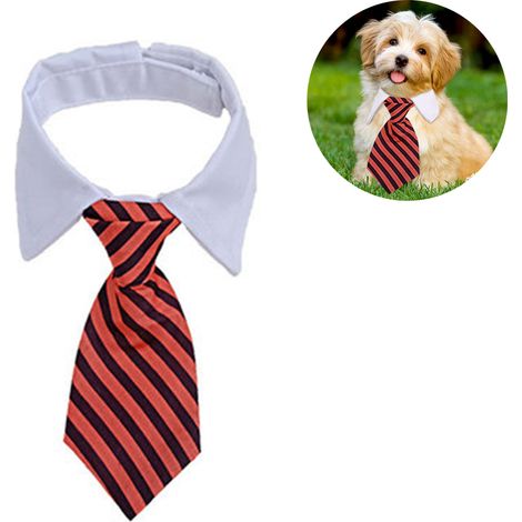 1 Nœud papillon, Fermeture auto-agrippante, Polyester, Ajustable, Chien Chat (1/5)